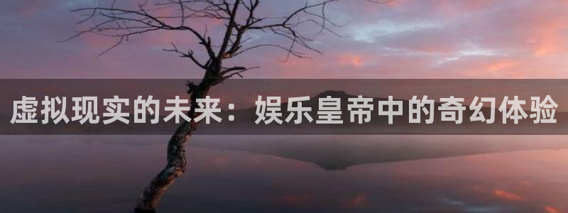 天顺娱乐：虚拟现实的未来：娱乐皇帝中的奇幻体验