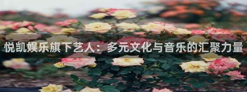 天顺娱乐：悦凯娱乐旗下艺人：多元文化与音乐的汇聚力量