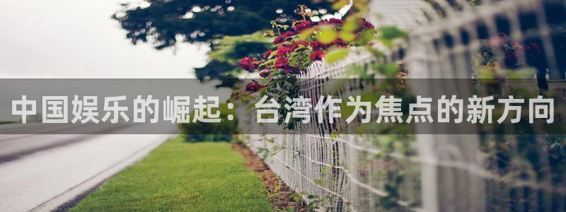 天顺娱乐：中国娱乐的崛起：台湾作为焦点的新方向