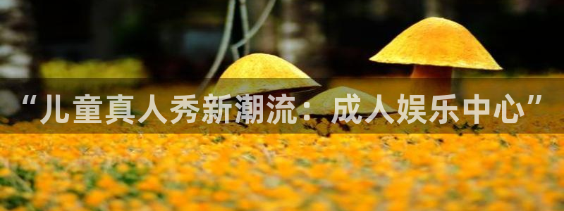 天顺娱乐：“儿童真人秀新潮流：成人娱乐中心”