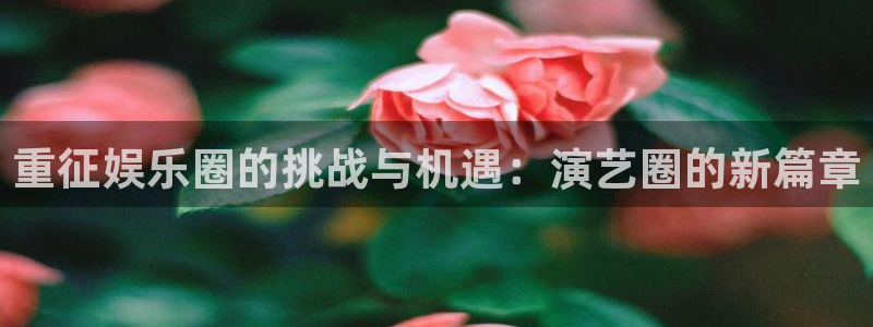 天顺娱乐：重征娱乐圈的挑战与机遇：演艺圈的新篇章