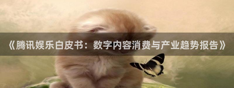 upload/20250701114914.jpg